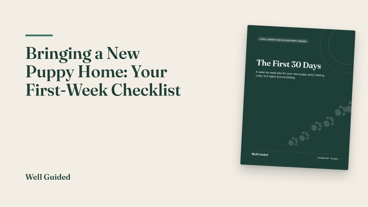 Bringing a New Puppy Home: Your First-Week Checklist