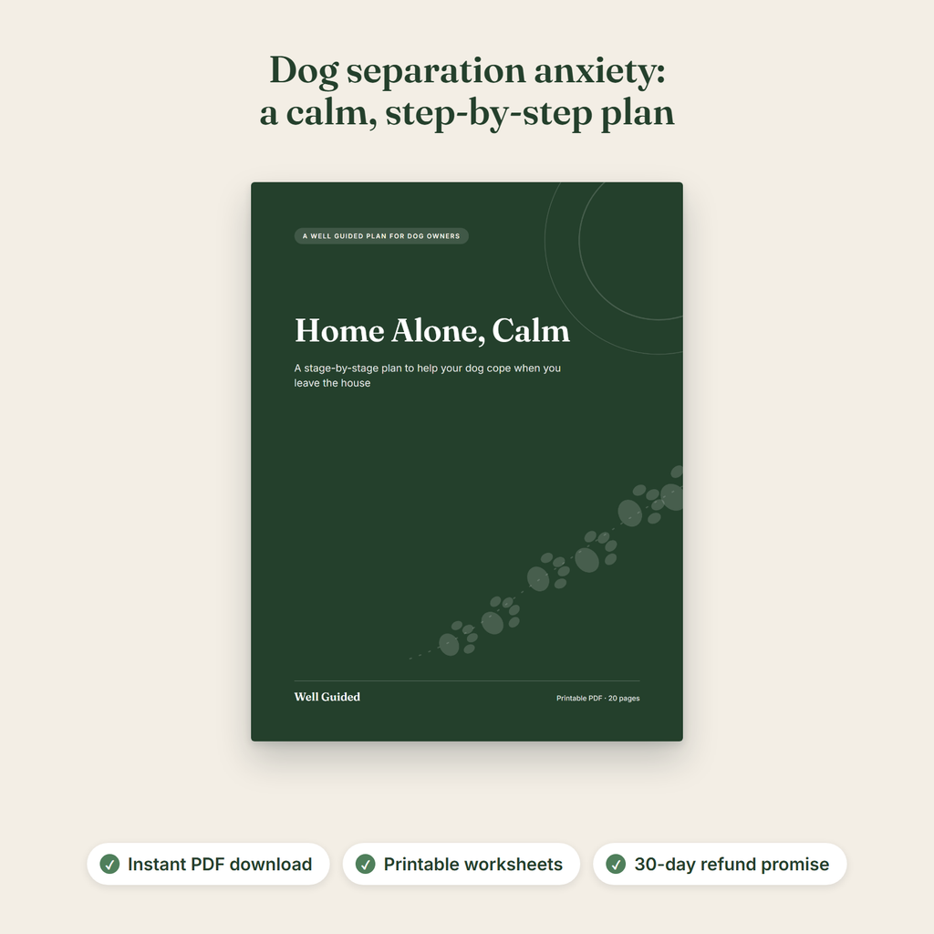 Cover of Home Alone, Calm, a printable dog separation anxiety guide, with the headline: Dog separation anxiety: a calm, step-by-step plan. Notes: instant PDF download, printable worksheets, 30-day refund promise