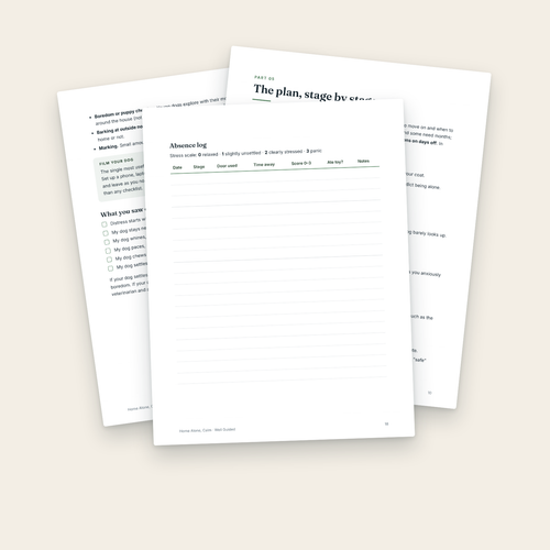 Inside pages: the stage-by-stage plan, checklists and absence log