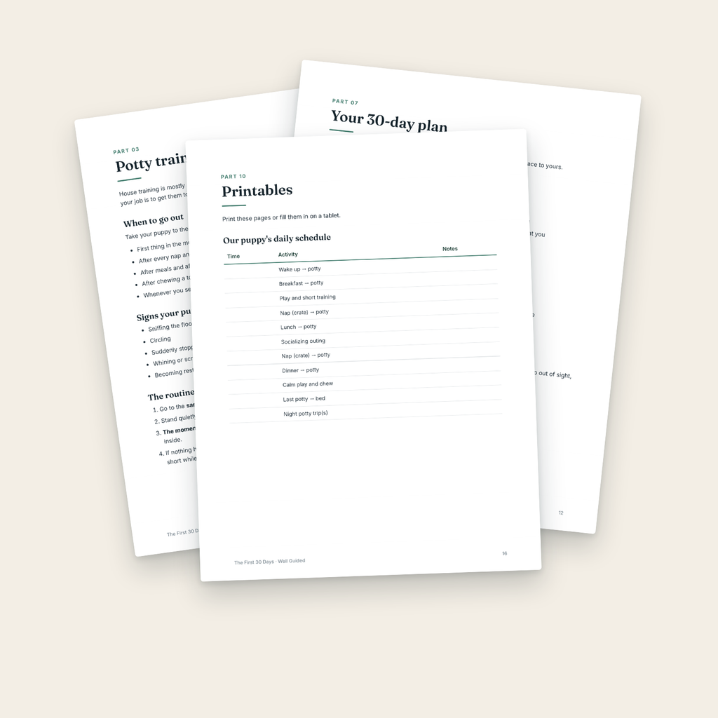 Inside pages: daily schedule, 30-day plan and potty log